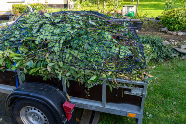 Best Electronics and E-Waste Disposal  in Hemlock, MI